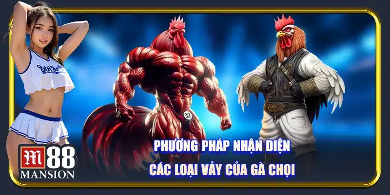 Phương pháp nhận diện các loại vảy của gà chọi