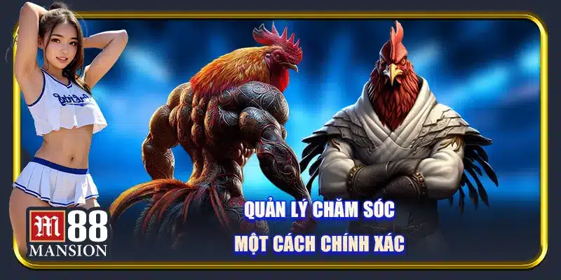 Quản lý chăm sóc một cách chính xác
